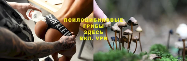 ГАЛЛЮЦИНОГЕННЫЕ ГРИБЫ Абинск