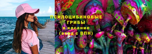 2c-b Заводоуковск
