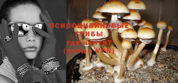 бошки Алексеевка