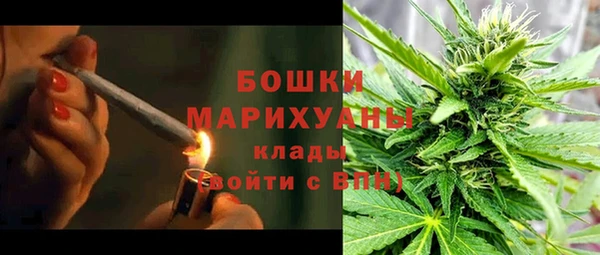 гидропоника Иннополис