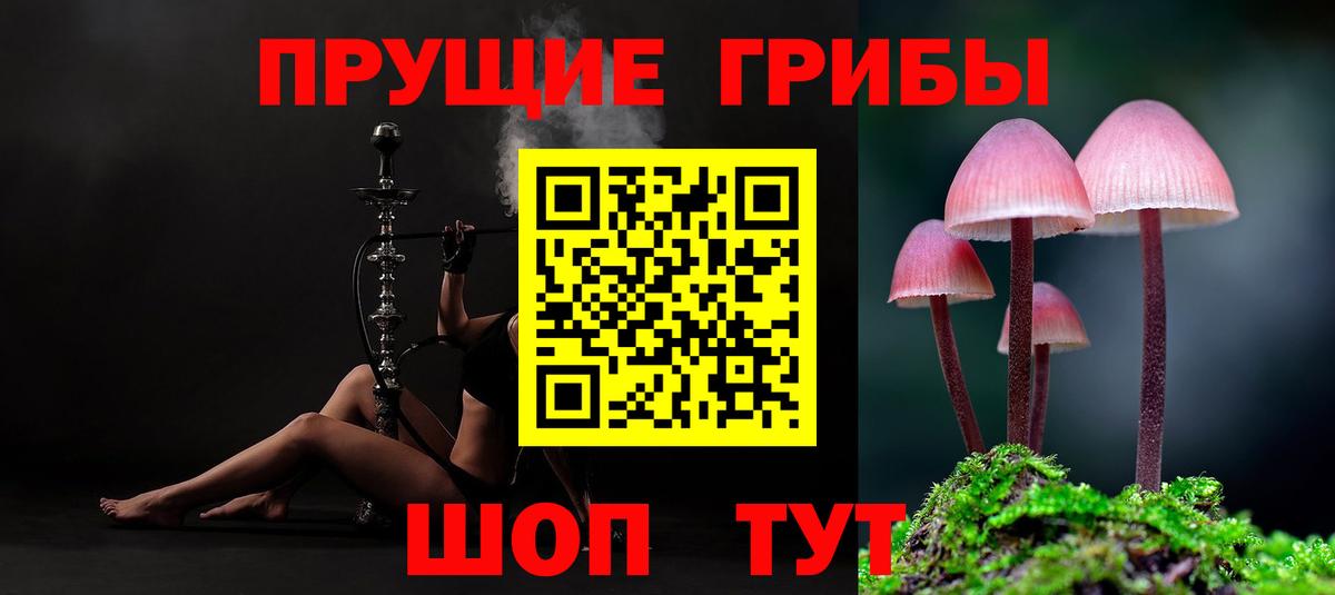 Псилоцибиновые грибы Psilocybine cubensis  Вход с VPN  Нягань 